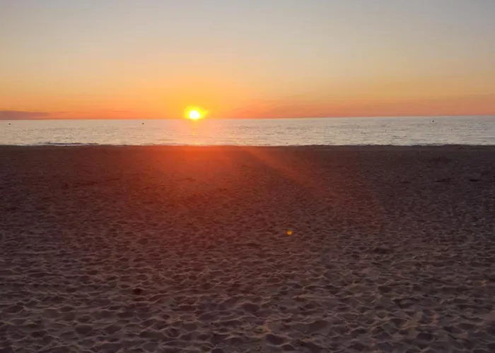 Romy Daire Trouville-sur-Mer